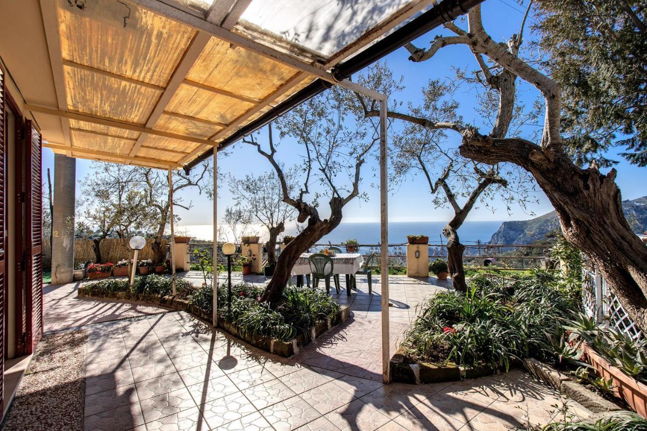 Il Pioppo - Country House Sea View Massa Lubrense Exterior photo