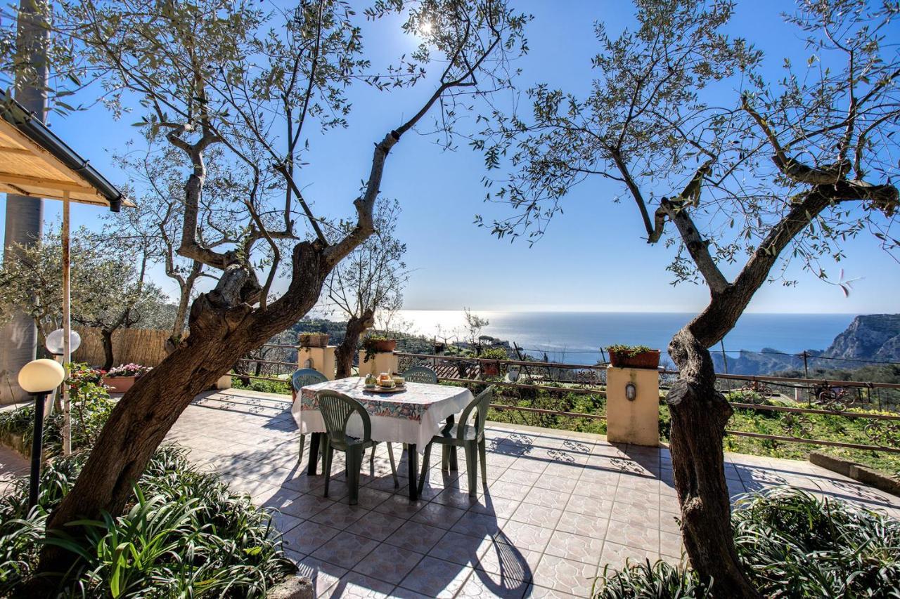 Il Pioppo - Country House Sea View Massa Lubrense Exterior photo